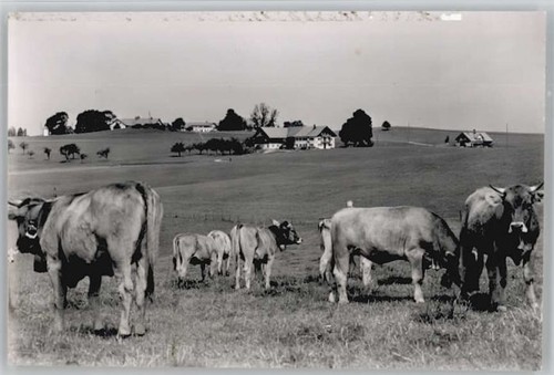 Altusried 1956 - *,